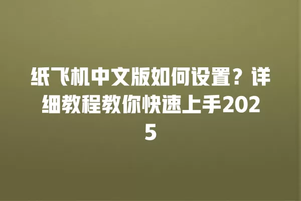 纸飞机中文版如何设置？详细教程教你快速上手2025 二