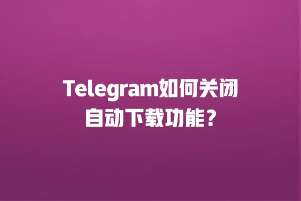Telegram如何关闭自动下载功能？ 二